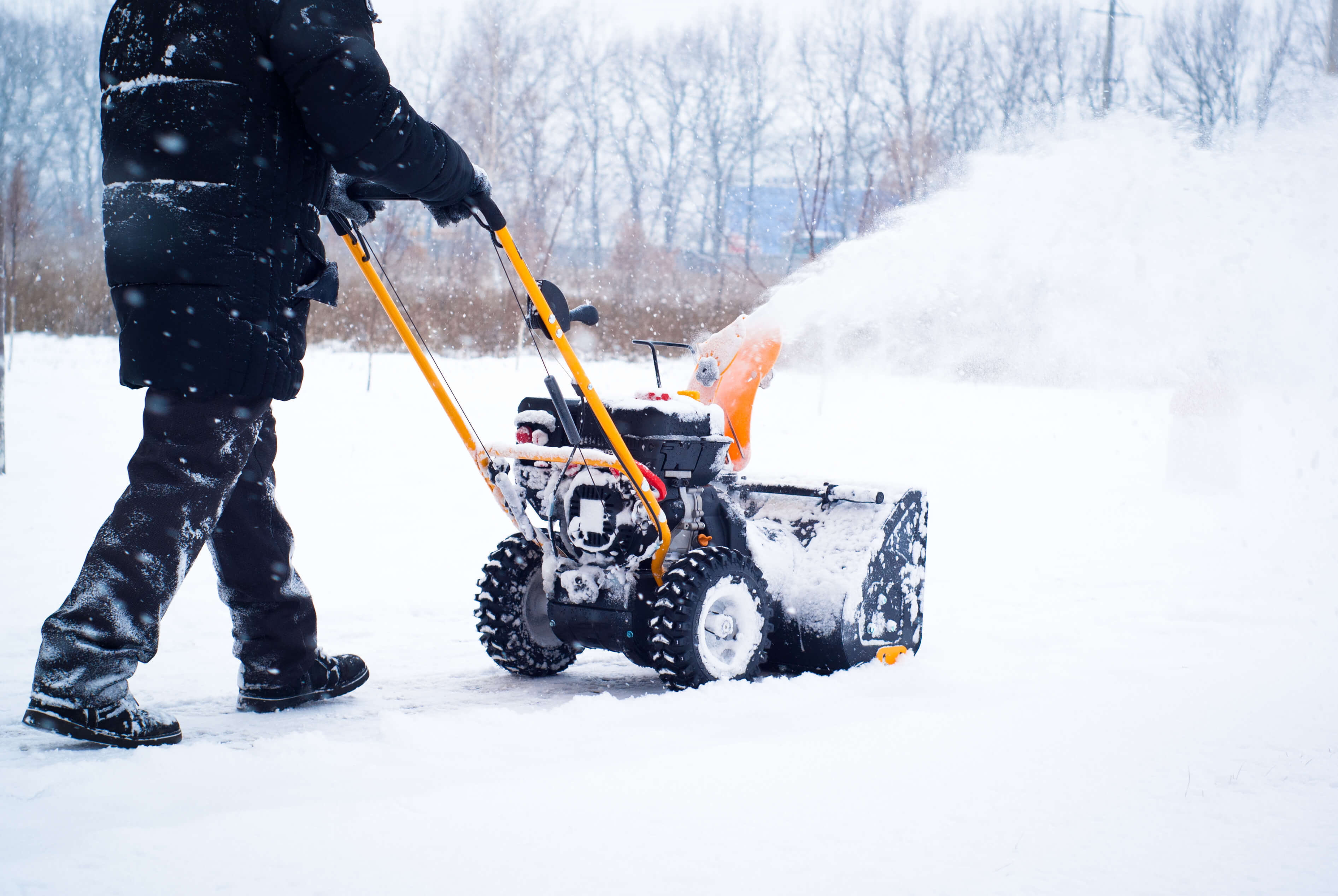 Snowpocalypse bingo marathon